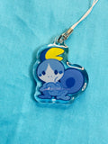 Pokémon Charm: Sobble